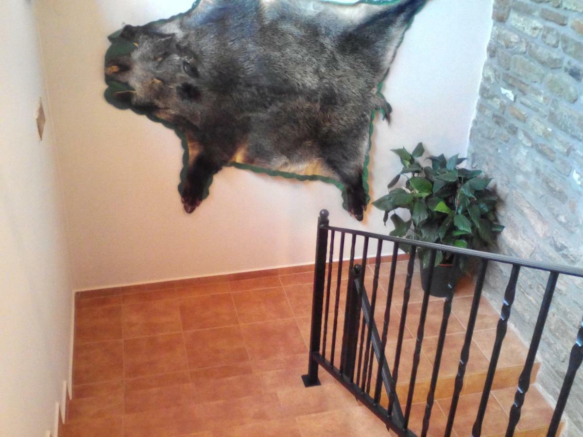 Jazmin Apartman Tihany Eksteriør billede